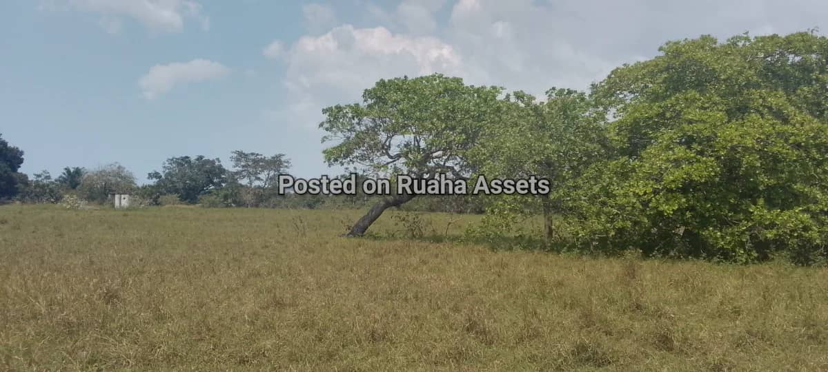 Plots at Kitopeni Bagamoyo 