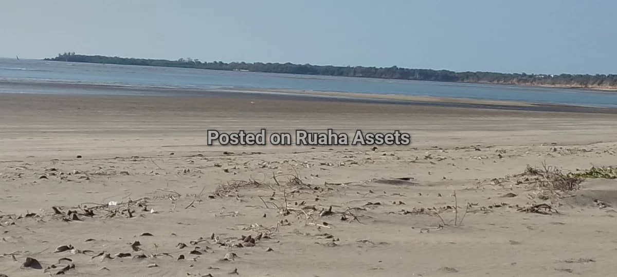 Beach plot at Pangani Mjini 