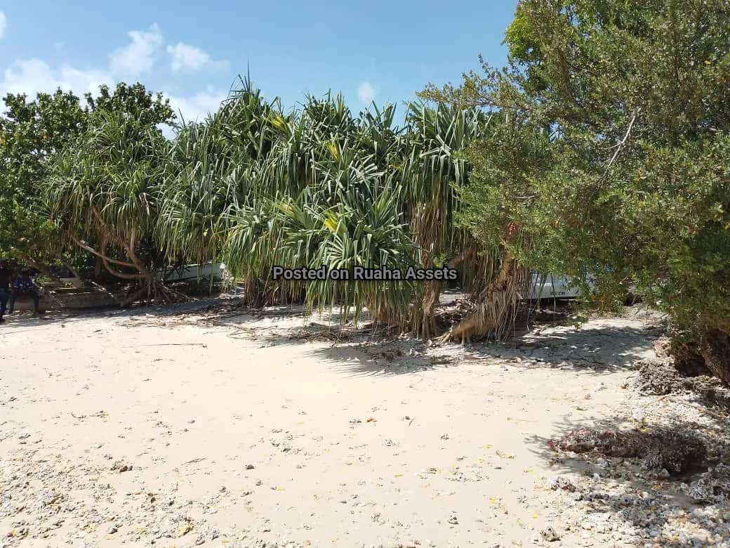 Beachfront plot for Sell in Zanzibar