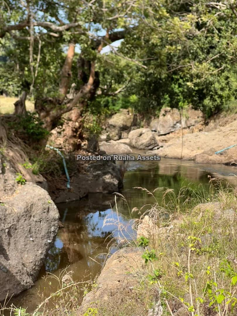 58 ACRES OF FARMLAND IS AVAILABLE FOR SALE  Price is 17 million T-shillings per acre
