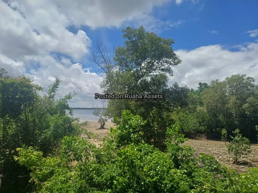 5 Acres Beach plot for Sell at Uzi, Zanzibar