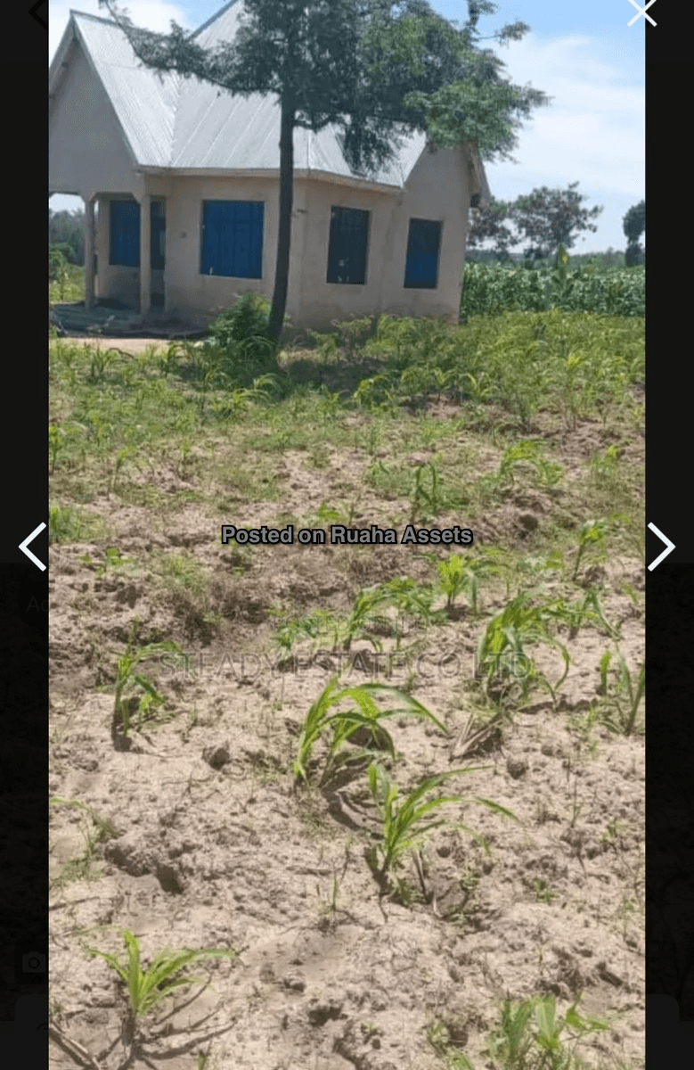 Plot for Sale in Buswelu, Mwanza