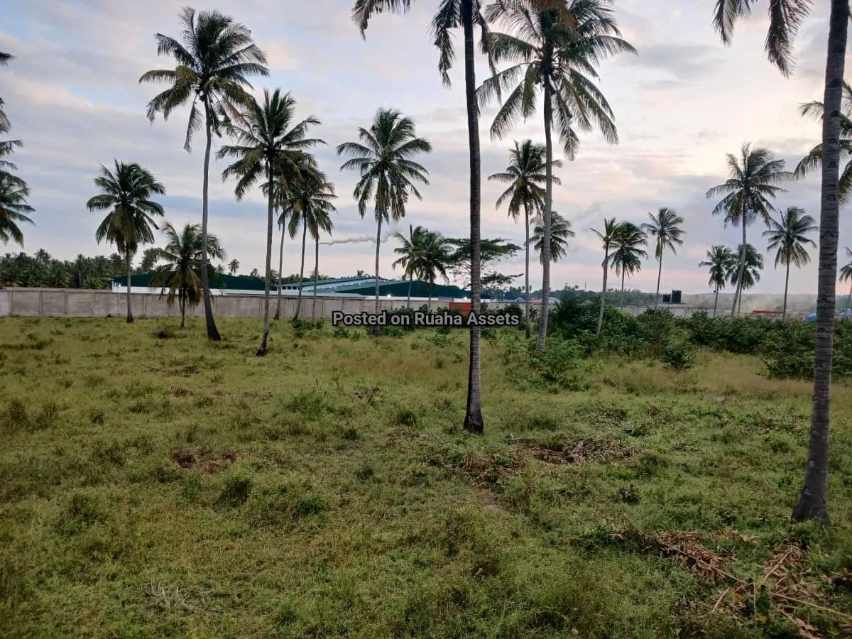 Industrial Plot for Sale at Mkuranga 