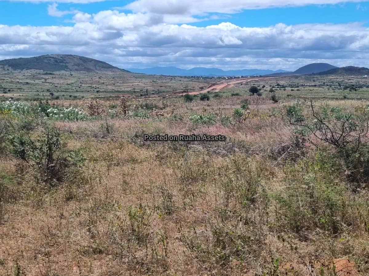 9 Acre Plot for Sell near UDOM