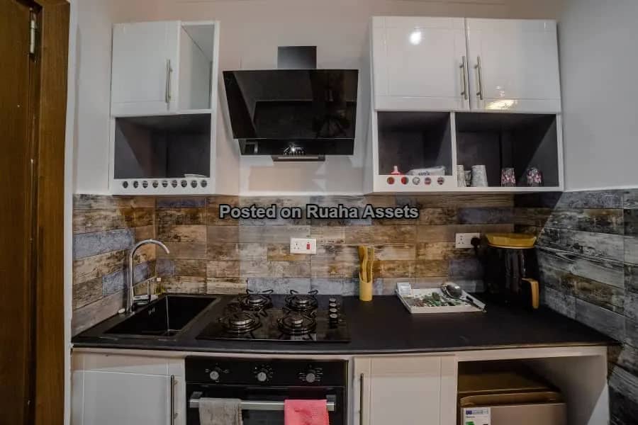 Fully Furnished 1 Bedroom Apartment for Lease at Kinondoni 
