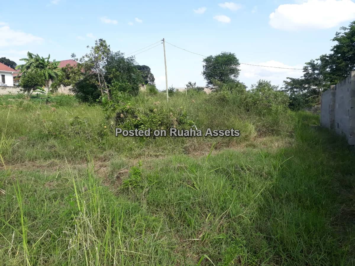 A 600sqm PLOT FOR SALE AT MBEZI MSAKUZI