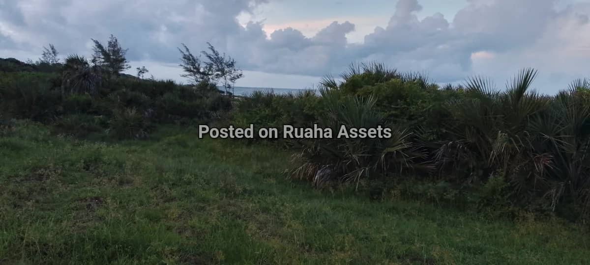 Beach view plot at Mbutu kigamboni 