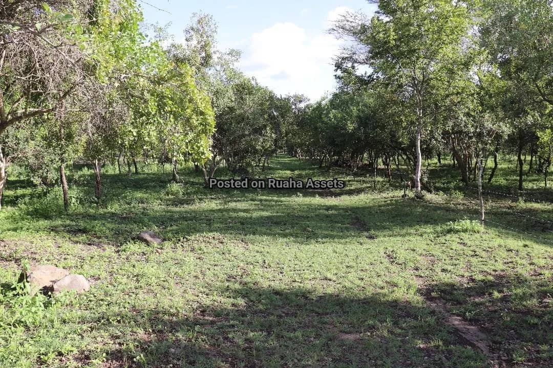 15 acres Plot for Sale at Kili Golf Arusha