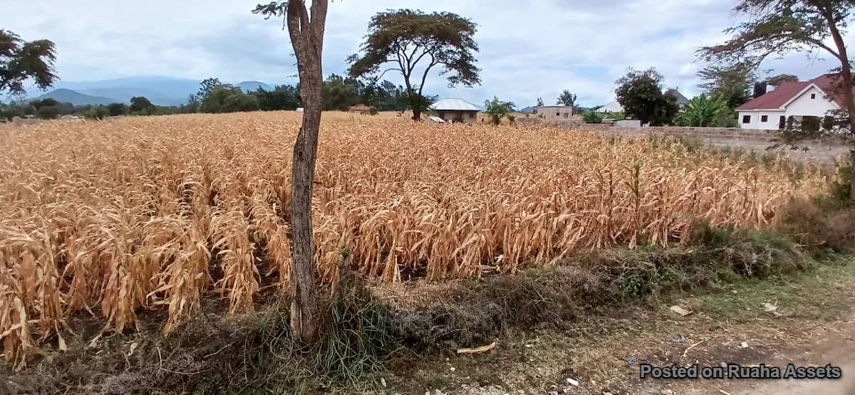 Plot at Njiro - Arusha for Sale