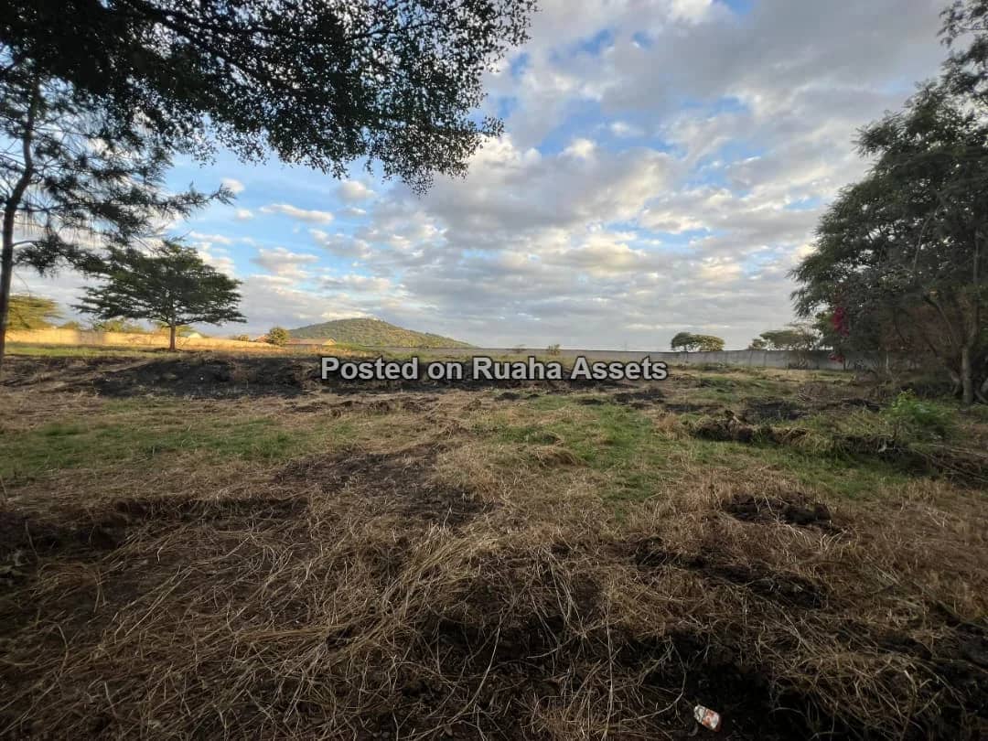 PRIME 3-ACRE INVESTMENT PROPERTY FOR SALE – KISONGO, ARUSHA 