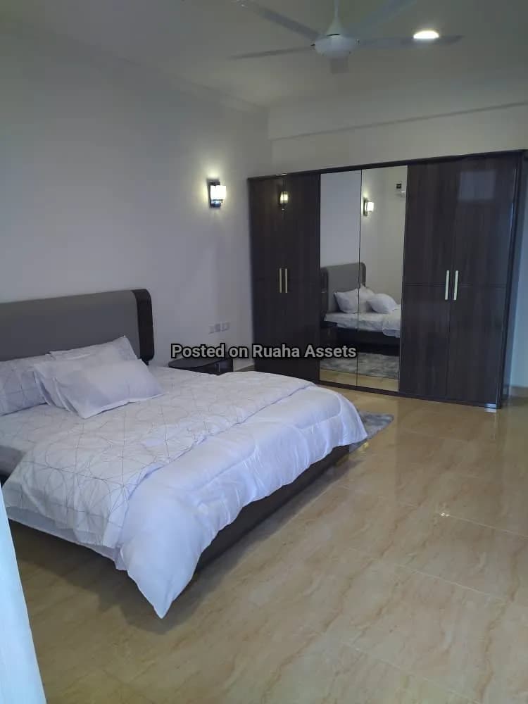 Short Let Property-Upanga
