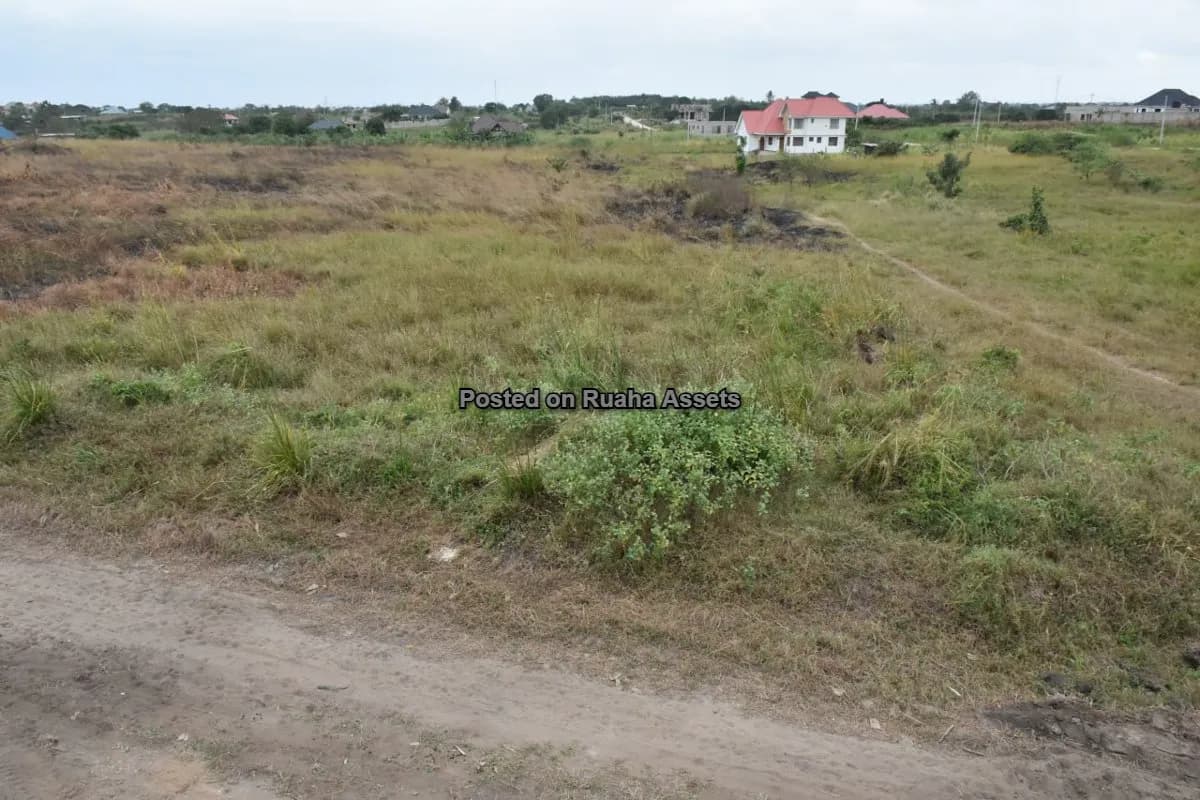 Land and Plot for Sale-Mabwepande, Dar es Salaam