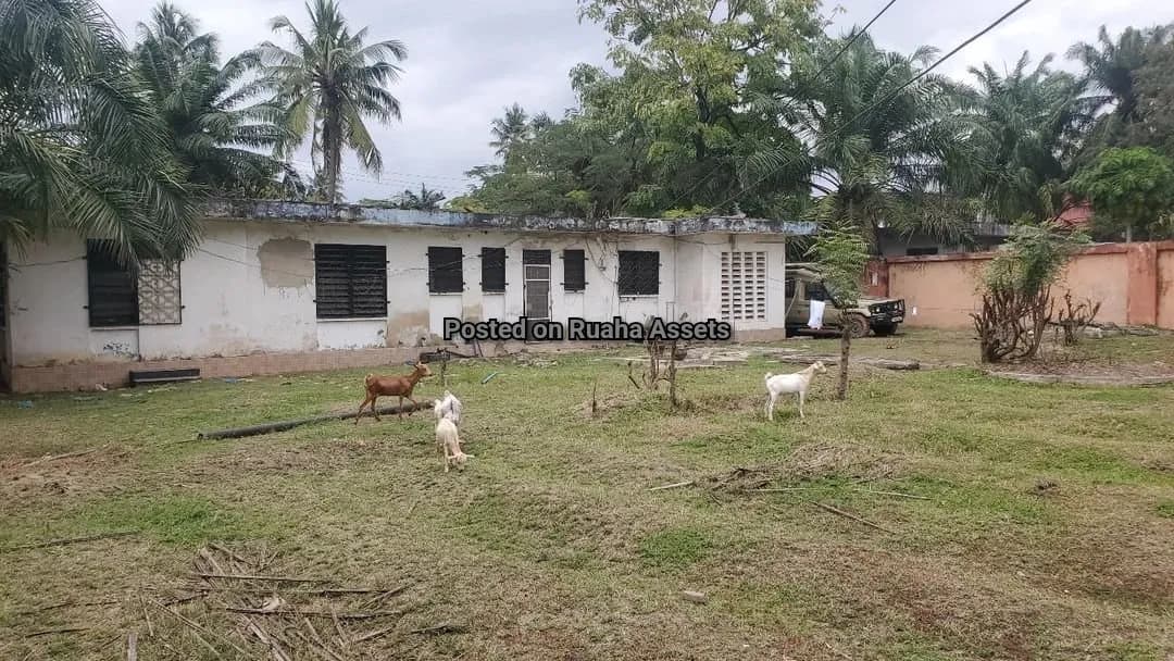 House and Apartments for Sale-Lukuledi Street, Dar es Salaam