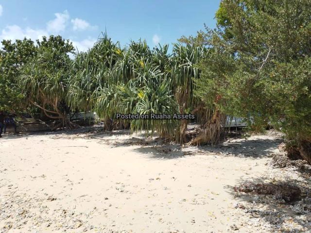 Land and Plot for Sale-Unguja Ukuu-Sell-Sell