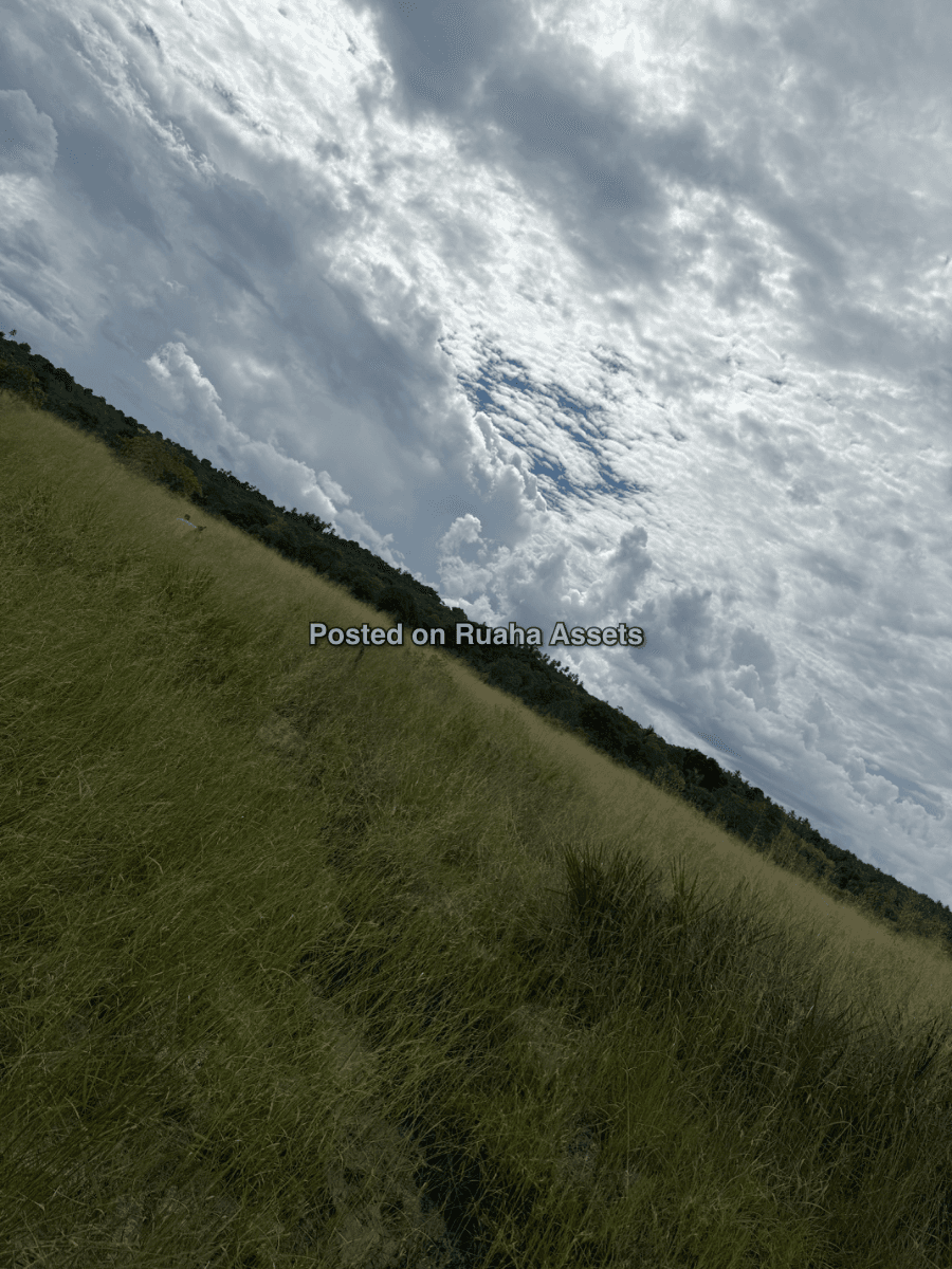 Land and Plot for Sale-Mkuranga, Tanzania