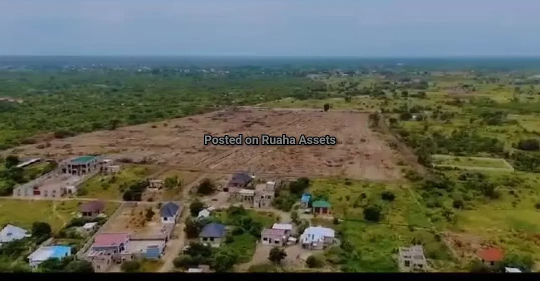 Land and Plot for Sale-Mapinga Primary school, Kerege, Tanzania