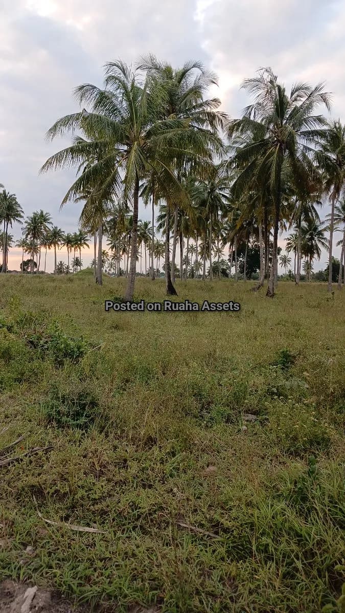Land and Plot for Sale-Kisemvule, Mkuranga