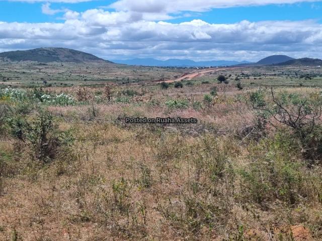 House and Apartments for Sale-Ng'Hong'Honha UDOM, Nkongontha-Sell-Sell