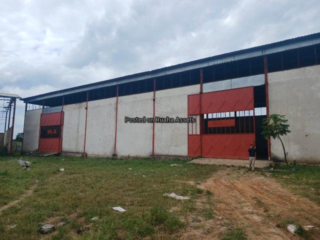 House and Apartments for Rent-Visiga-Rent-Rent