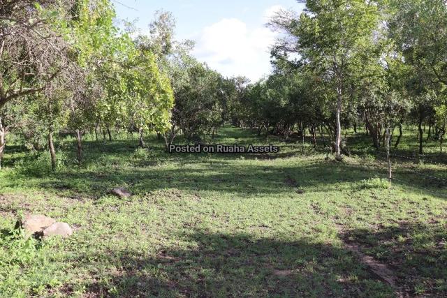 Land and Plot for Sale-Kiligolf Estate, Usa River-Sell-Sell
