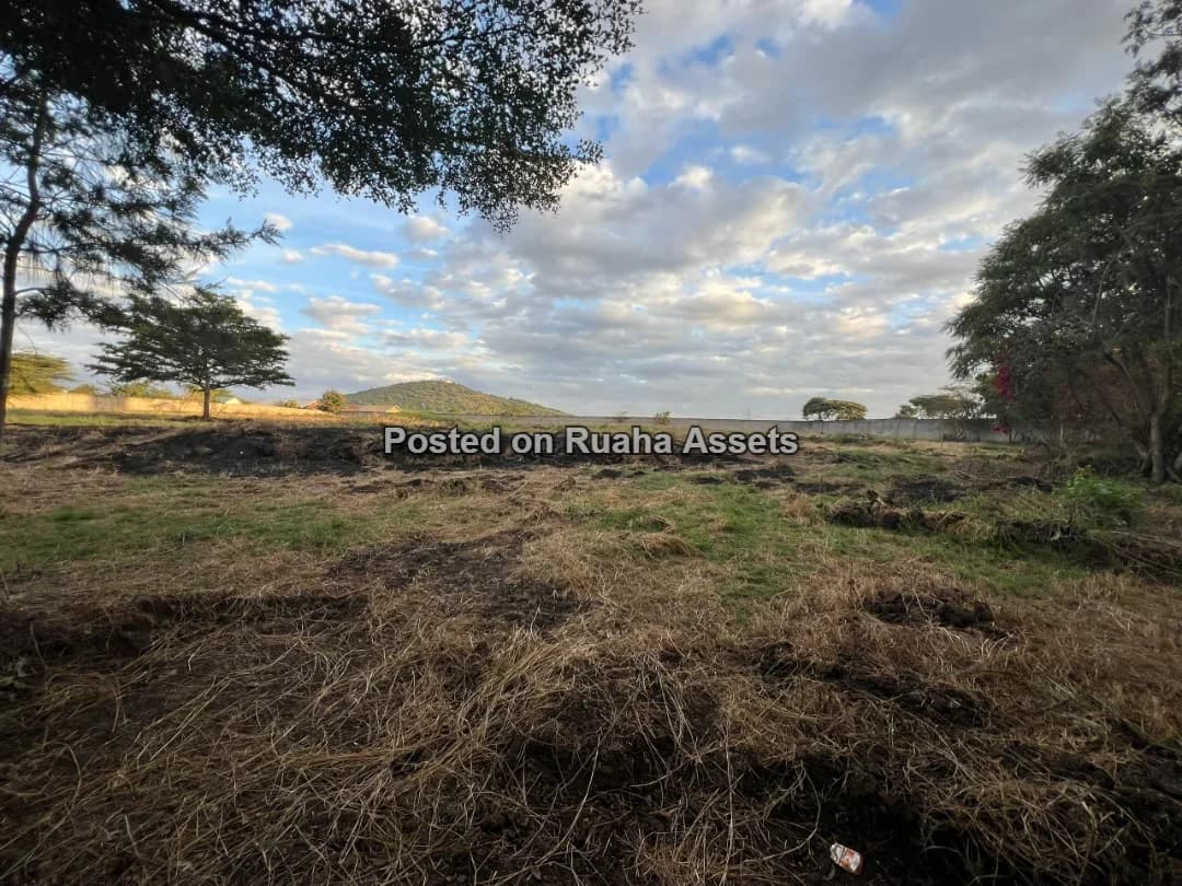 Land and Plot for Sale-Arusha, Tanzania