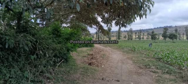 Land and Plot for Sale-Ngaramtoni-Sell-Sell