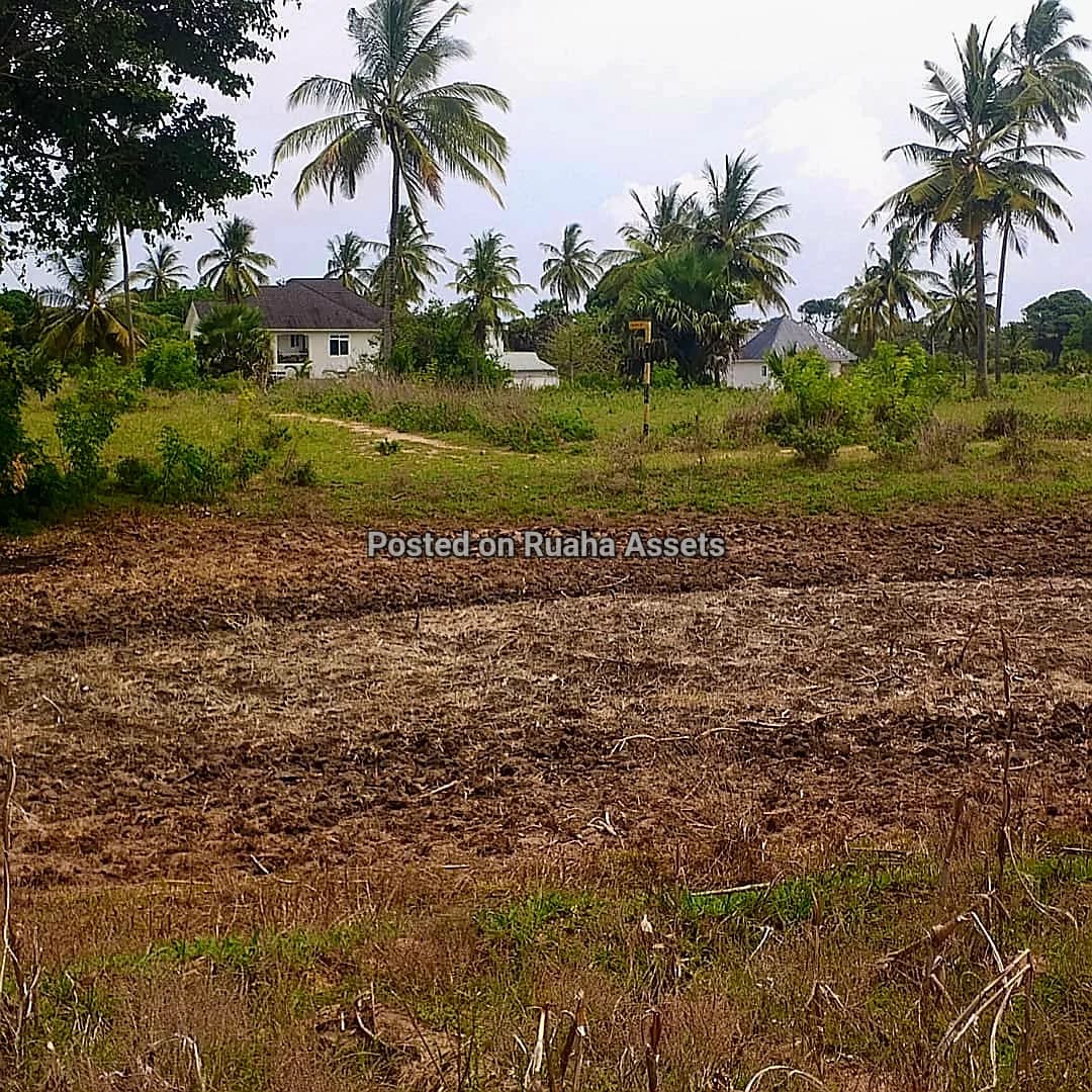 Plot Near Beach mbutu kigamboni 