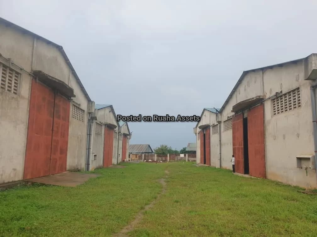 Warehouses for lease at Bagamoyo Road 