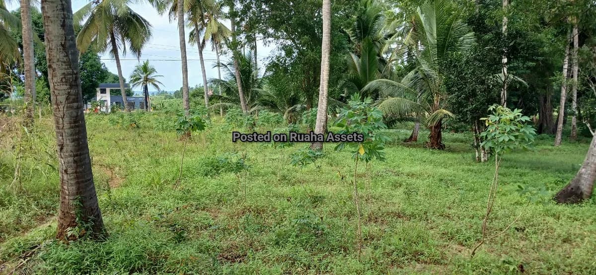 Petrol Station Plot for Sale at Mvuti