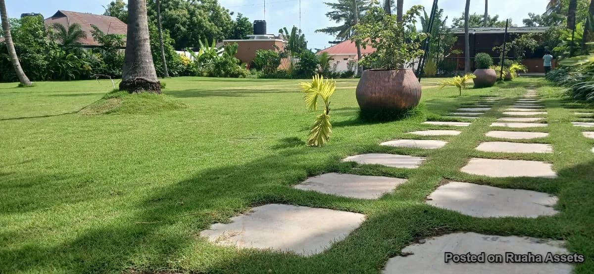 Minazi Garden