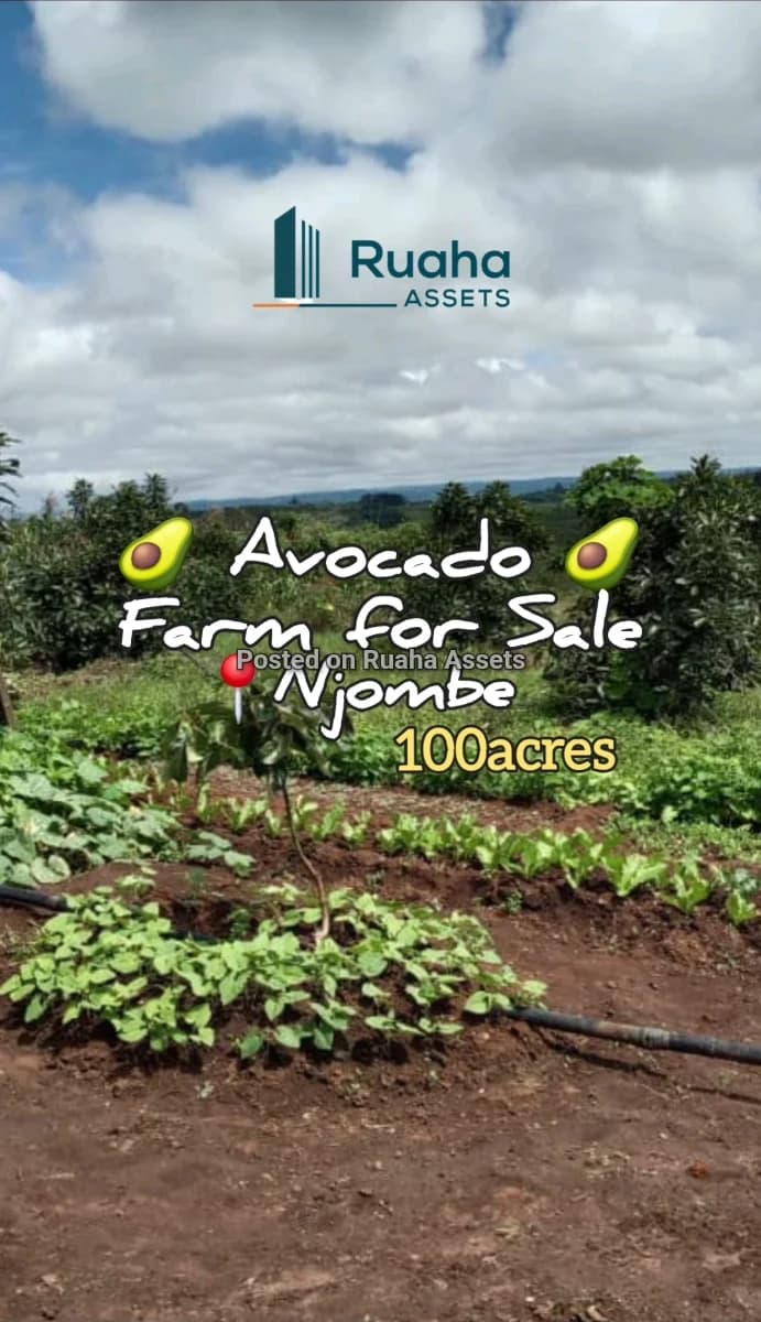 Avocado Farm for Sale at Njombe 