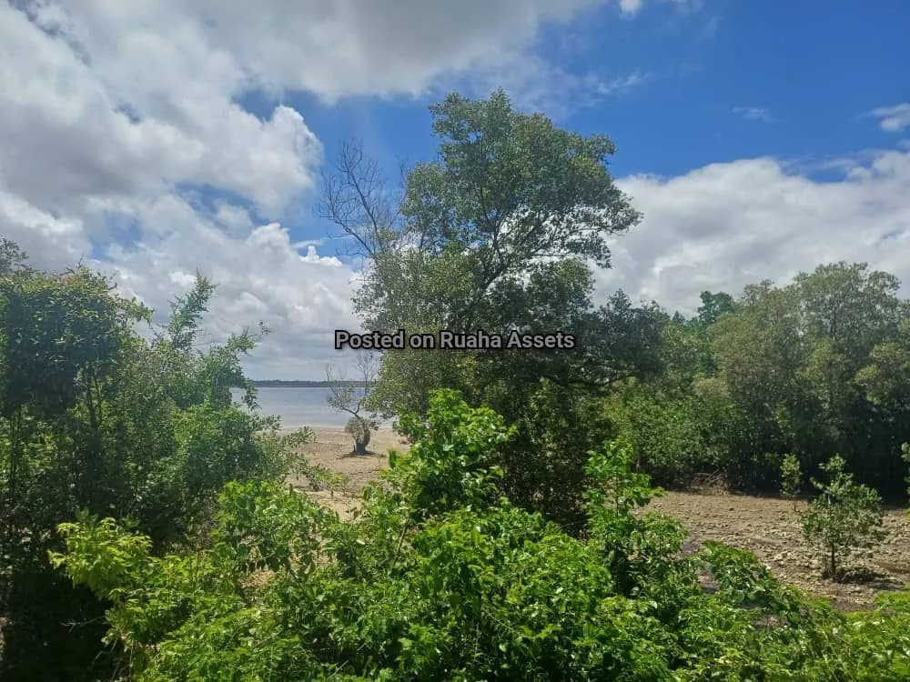 5 Acres Beach plot for Sell at Uzi, Zanzibar