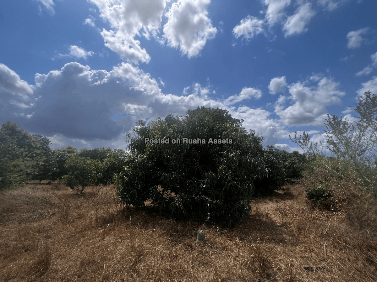 5 Acres farm for Sale, Kidomole Village Bagamoyo