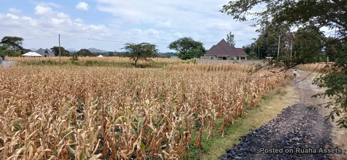 Half acre plot for sale at Njiro, Arusha.