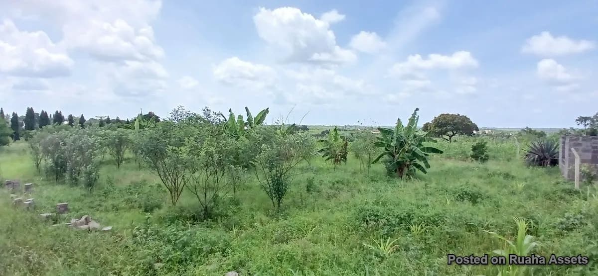 2 acres for sale at Kibaha