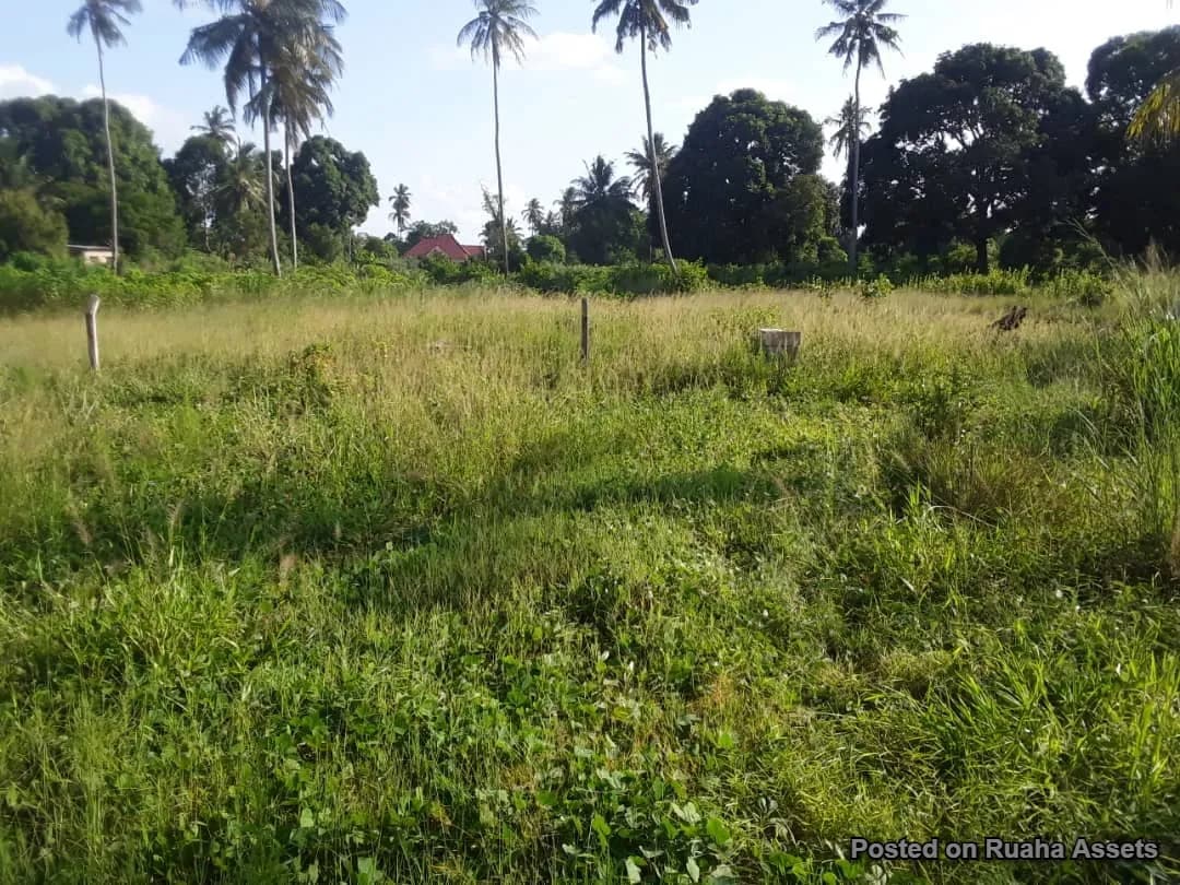 1 acre for sale, Mataya - Bagamoyo