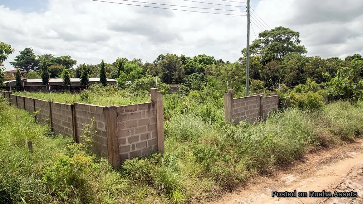 Fenced Plot for Sale at Mabwepande
