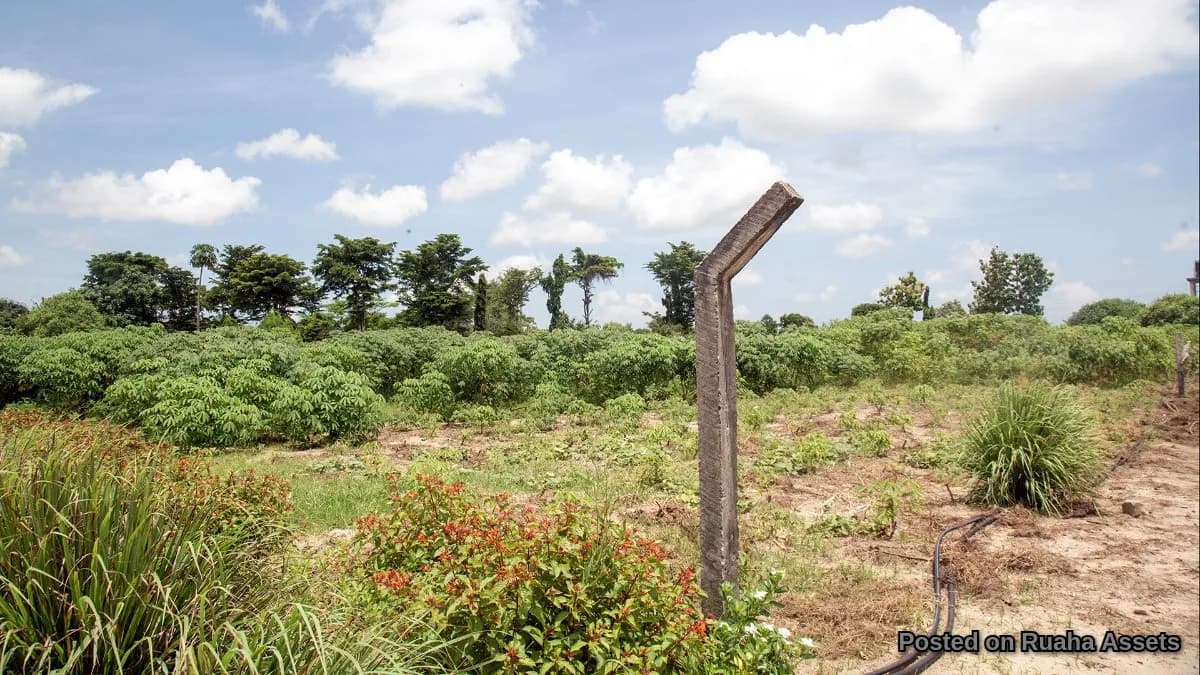 Prime Plot for Sale at Mabwepande