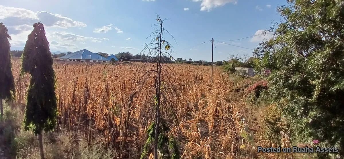 Big Plot near Kilimanjaro international Airport for sale