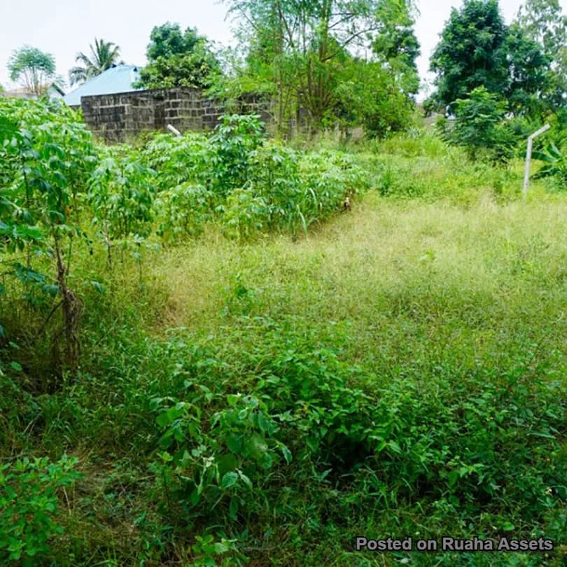 Residential & Commercial Plot for Sale