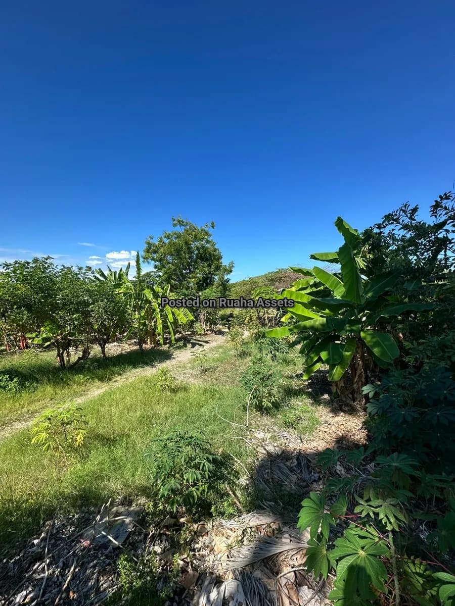 Prime Plot for Sale at Mbezi Beach 