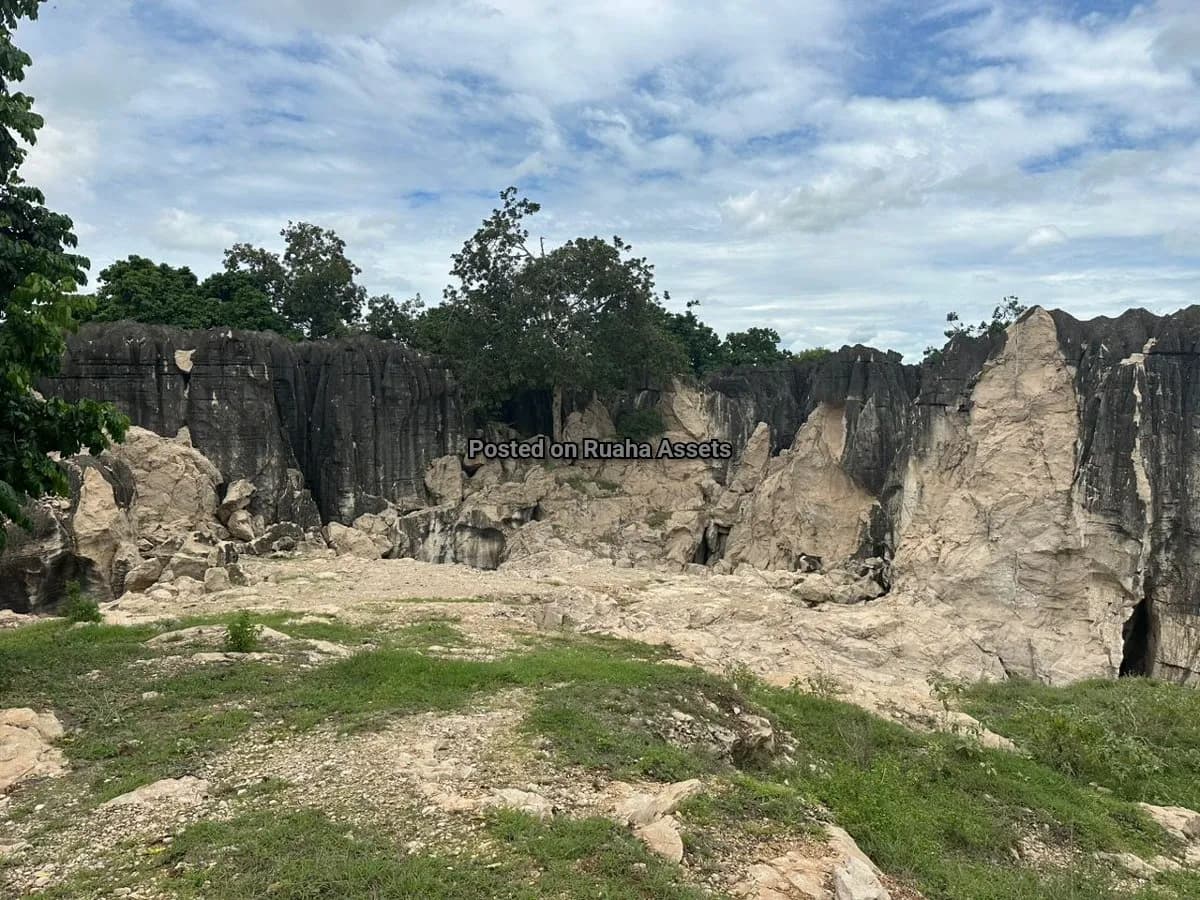 Limestone Company looking for Investors