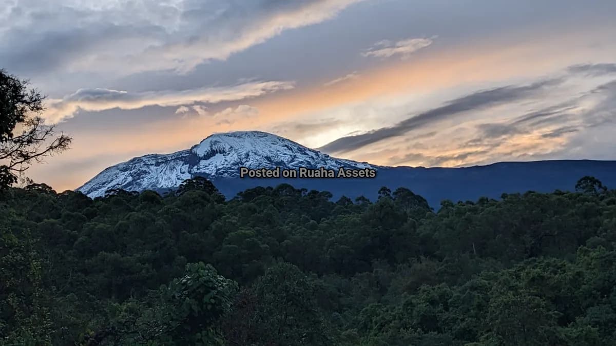 4 acres on the foot of Mt. Kilimanjaro for Sale