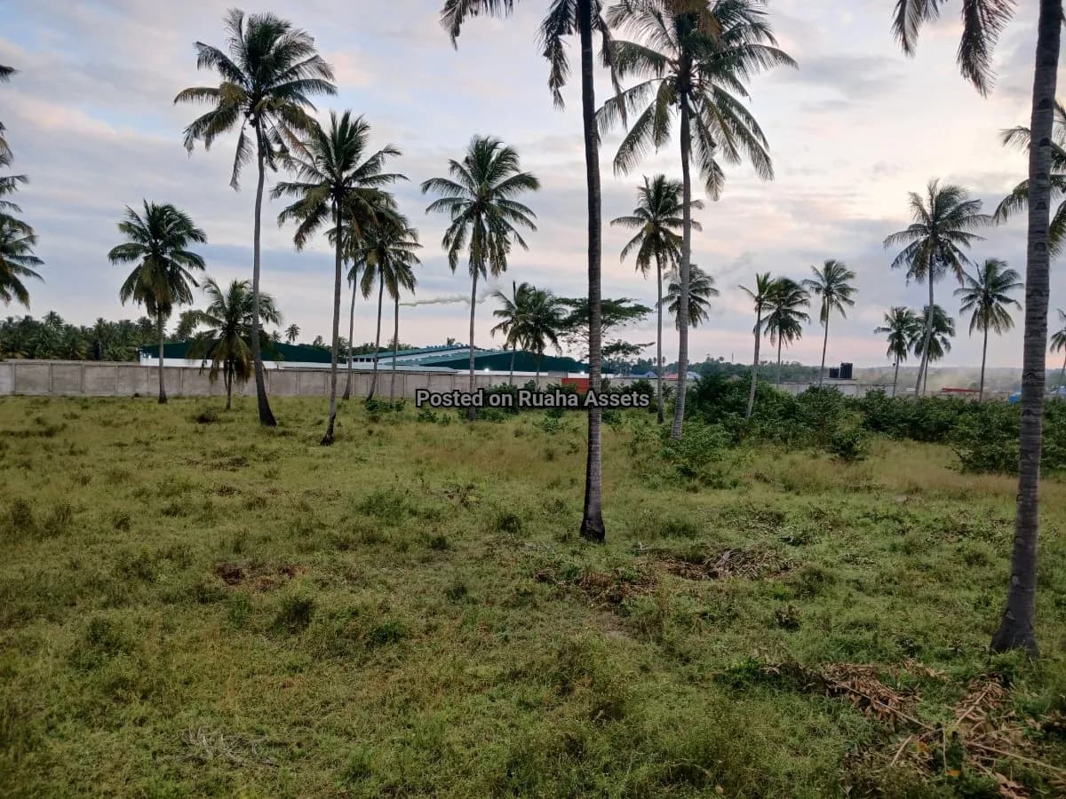 Industrial Plot for Sale at Mkuranga 