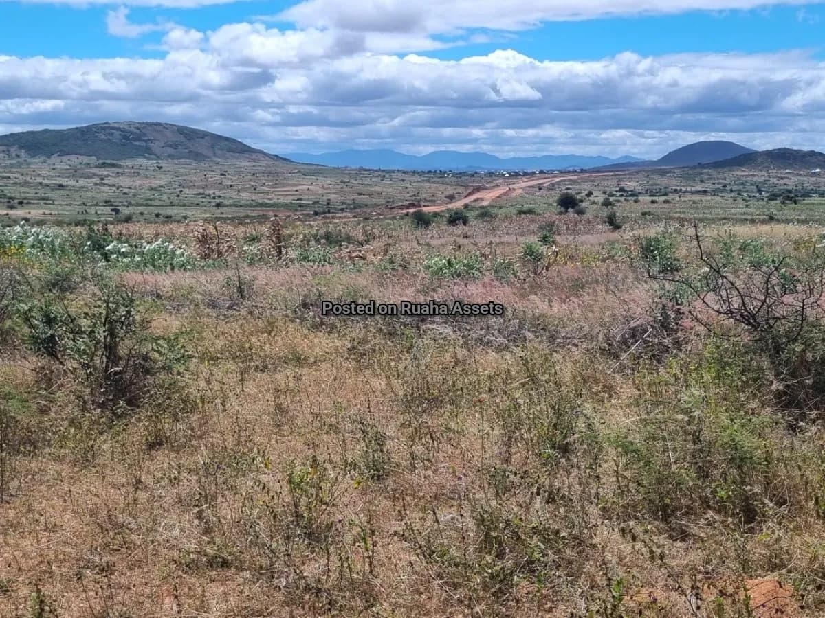 9 Acre Plot for Sell near UDOM