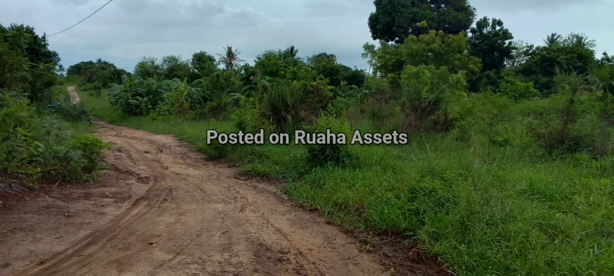 Investment land near beach mbutu kigamboni 