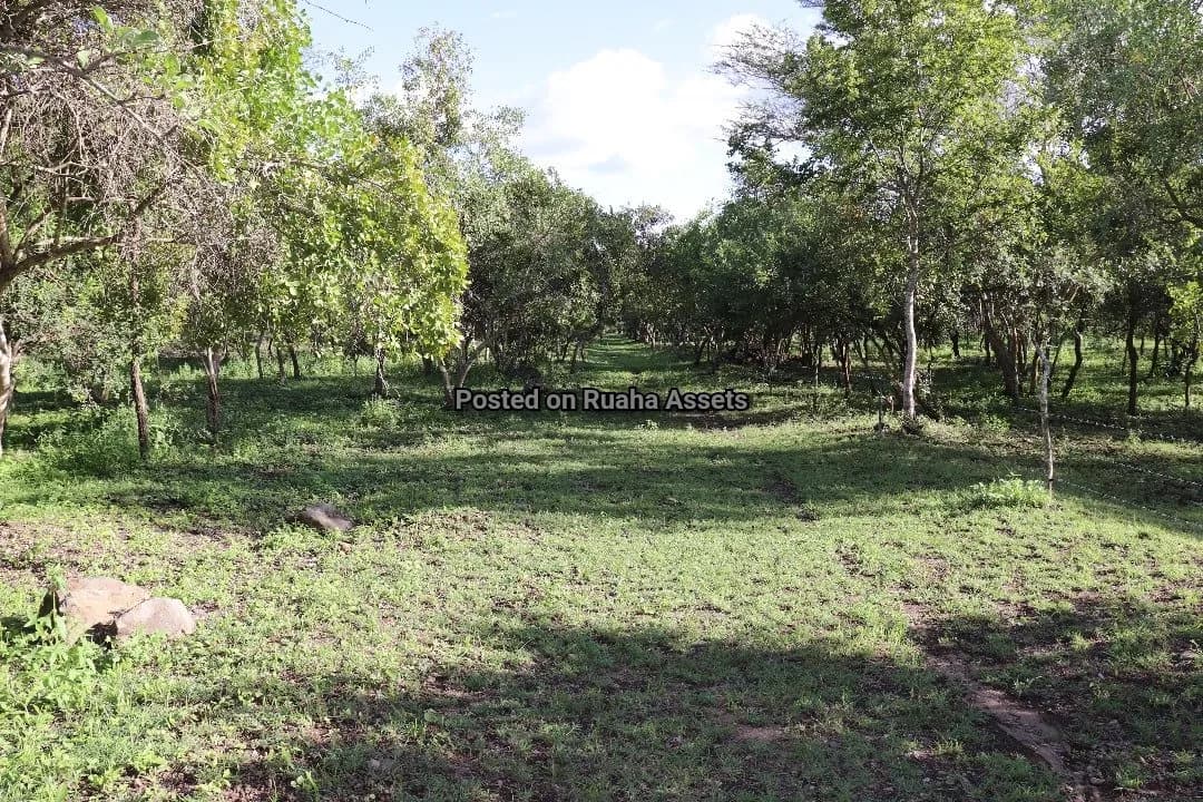 15 acres Plot for Sale at Kili Golf Arusha