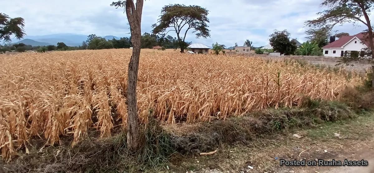 Plot at Njiro - Arusha for Sale