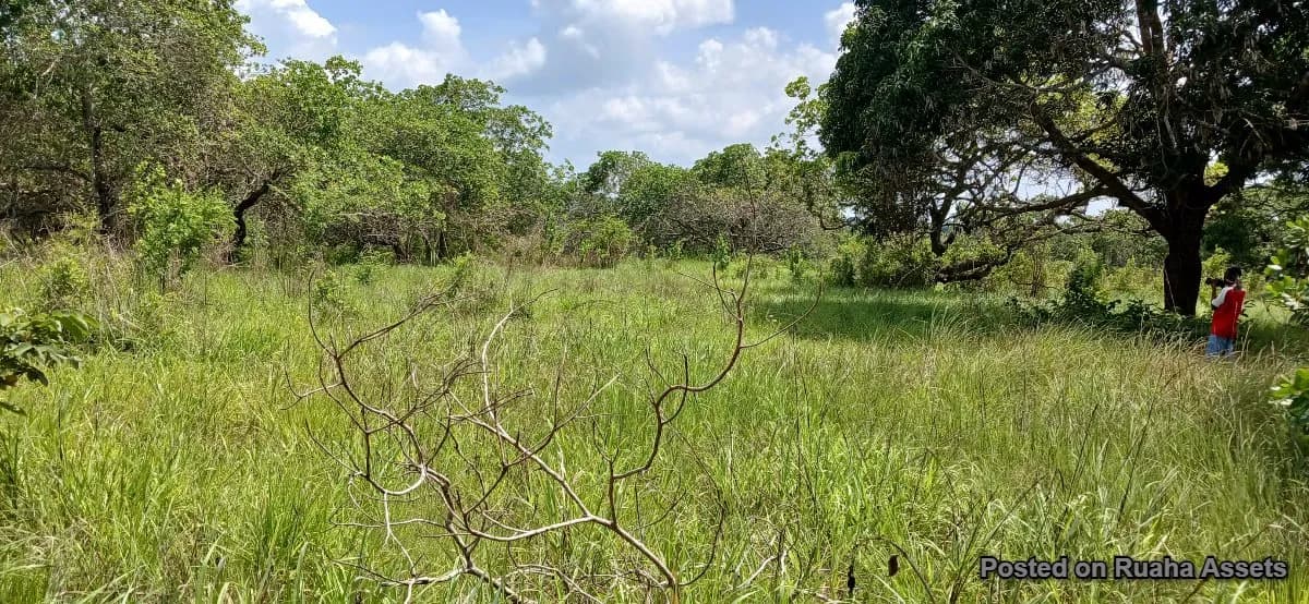 Land for sale at Kibaha - Boko Mnemela.