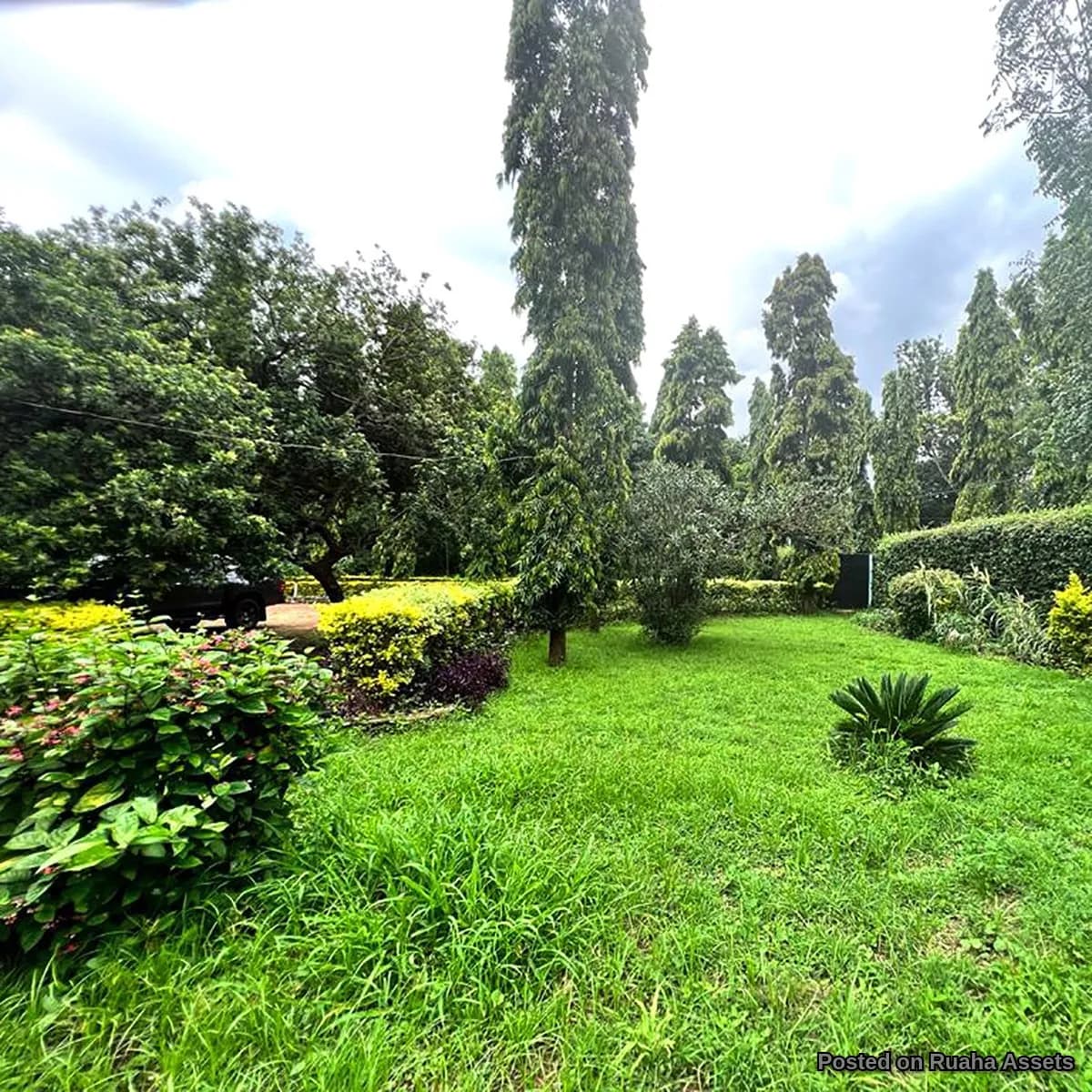 PRIME SHANTY TOWN FARM LAND FOR SALE